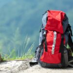 Travel Backpack Statistics
